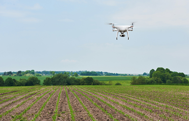Drone flying over agricultural field