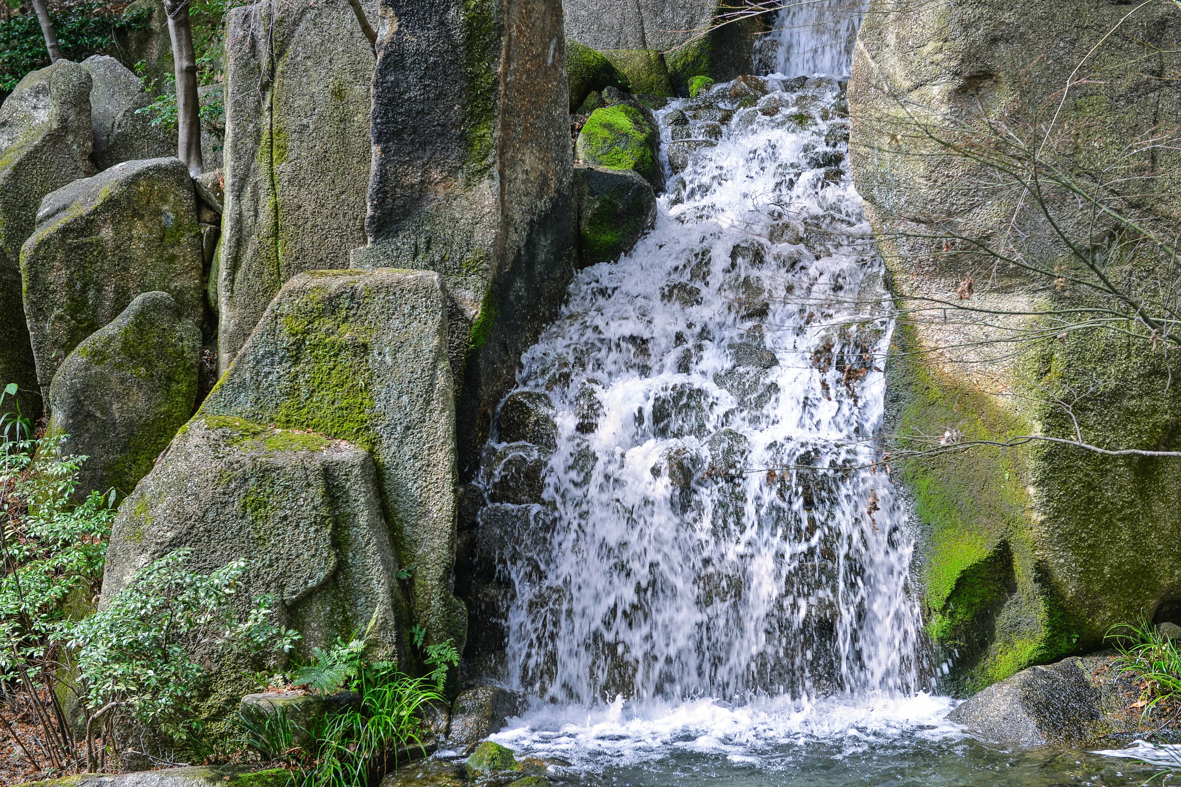 Water Source