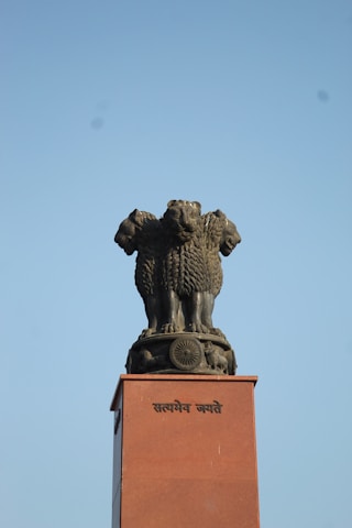 Municipal Official